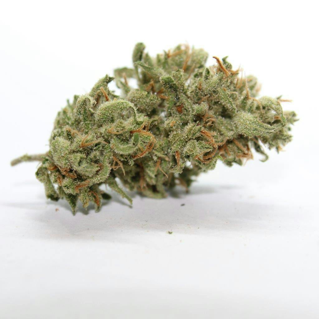 Super Lemon Haze