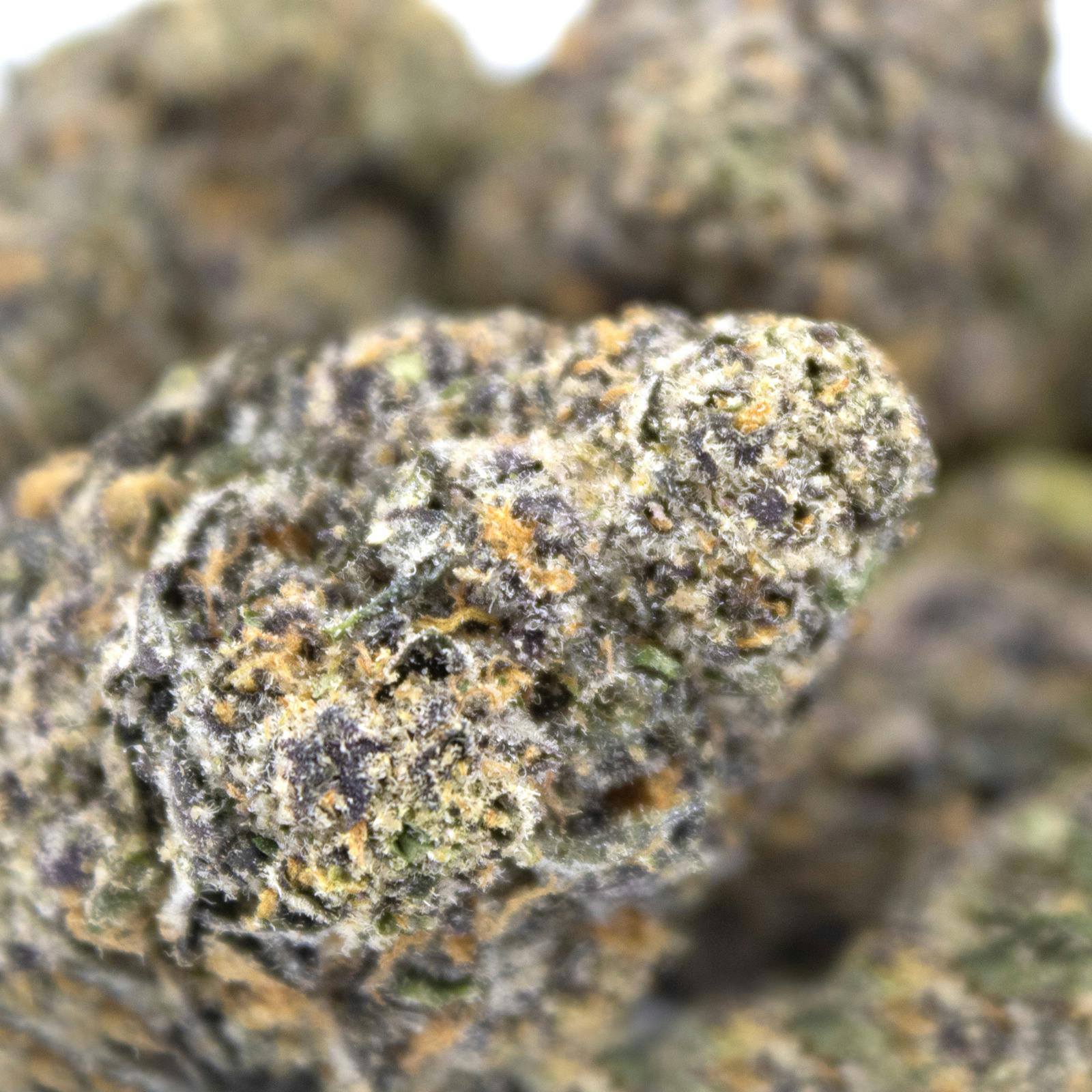 Gan's | Bulk Flower | Big Perm