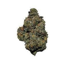 Hammon Tree | Bulk Flower | Sticky Maple