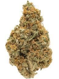 PRIMO DANKS | Bulk Flower | Detroit Muscle