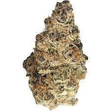 Primo Danks | Bulk Flower | Stoned Owl