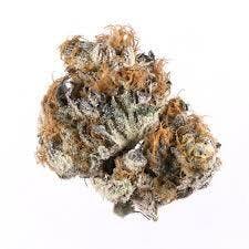 PRIMO DANKS | Bulk Flower | Velvet Creamsicle