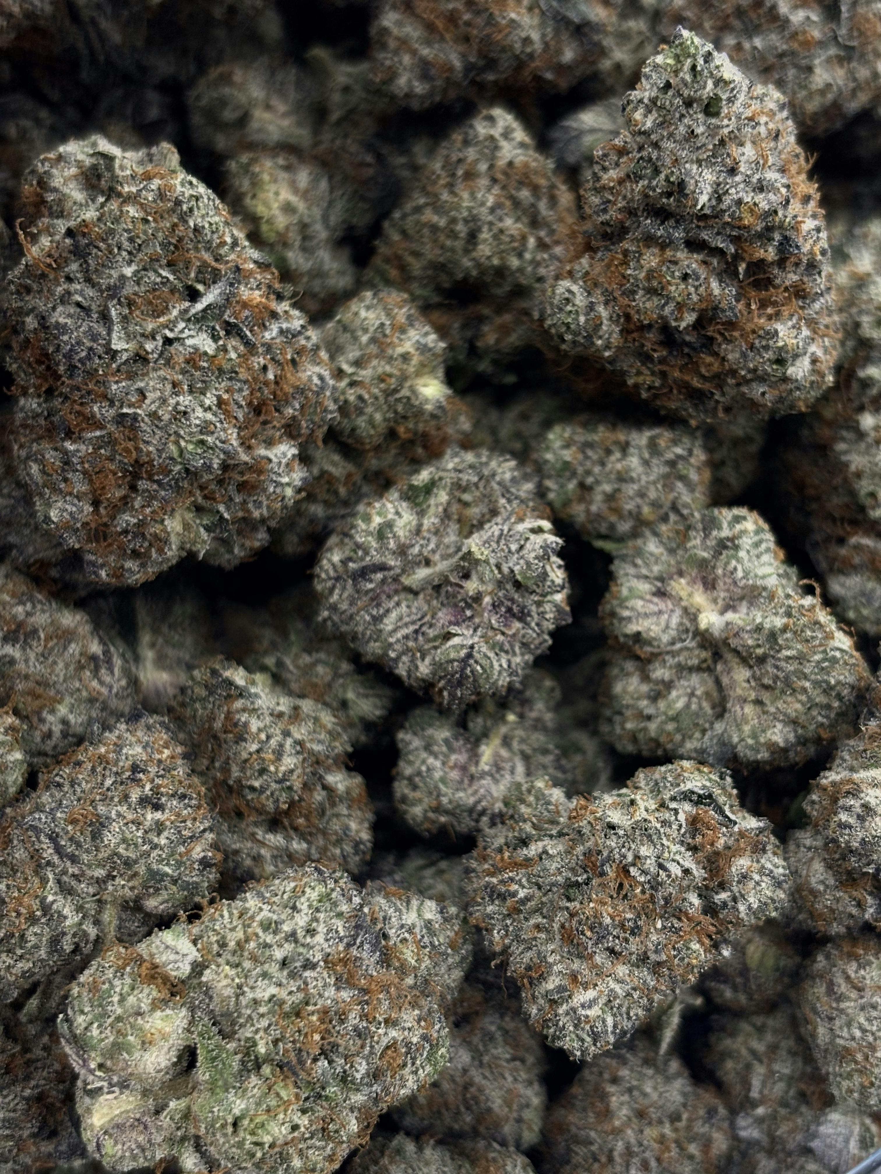 NORTHWOODS | Bulk Flower | Sherbz # 7