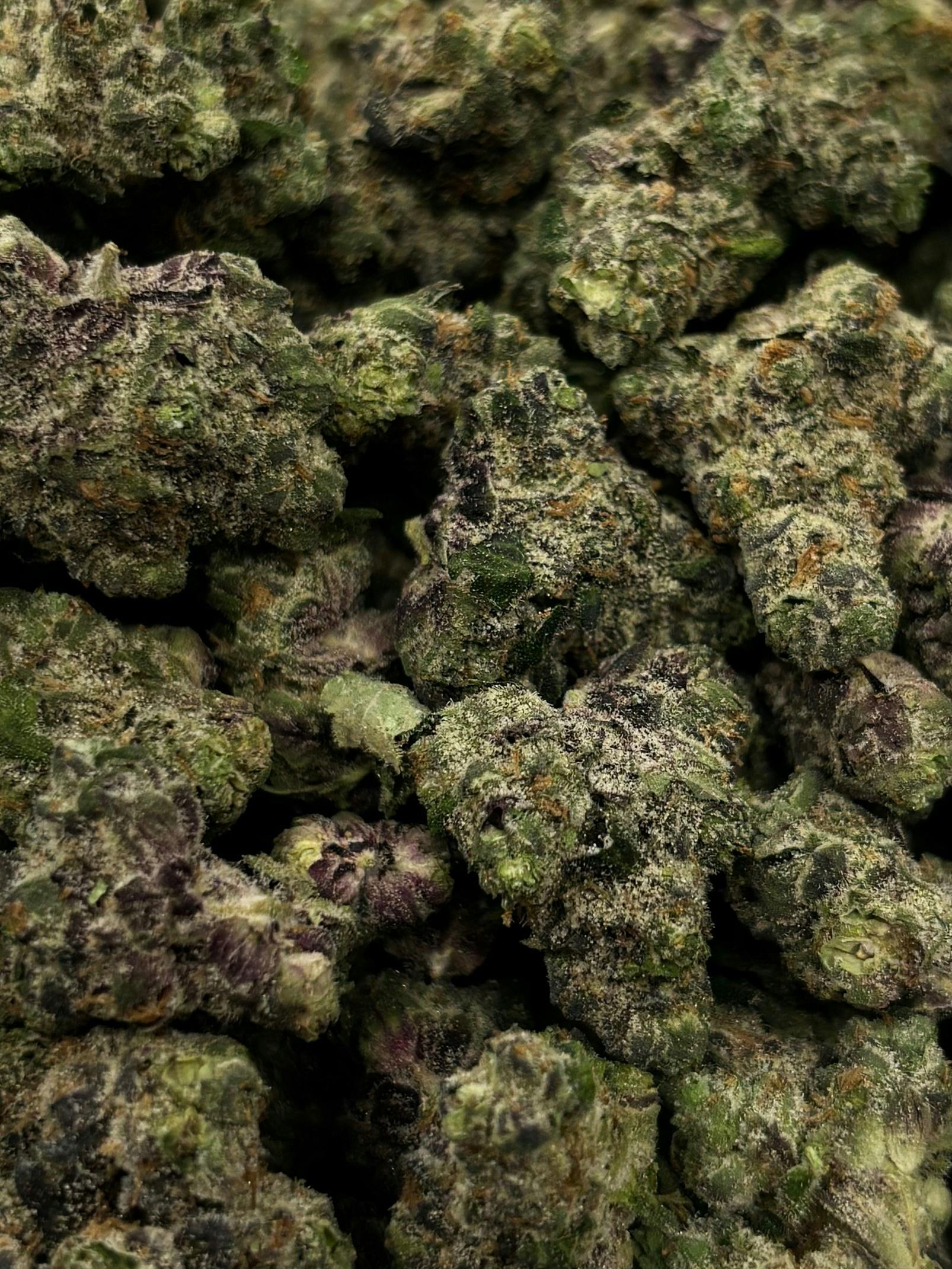 NORTHWOODS | Bulk Flower | Runtz AF