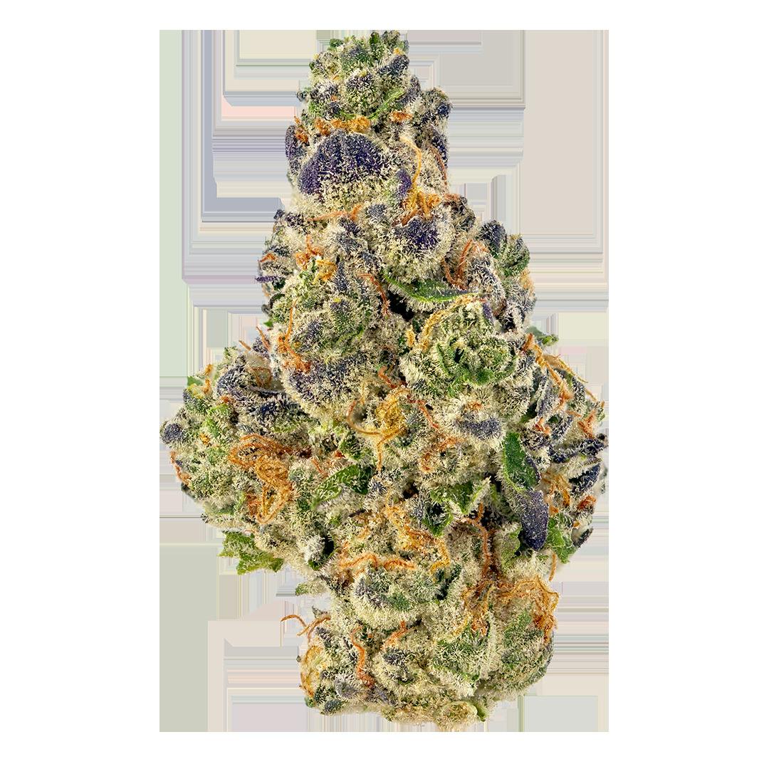 KINSHIP | Bulk Flower | E-God | Smalls