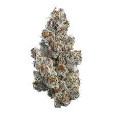 GAS STATION CULTIVATION | Bulk Flower | Bling Blou