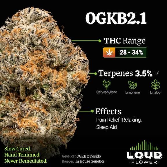 MI LOUD FLOWER | Bulk Flower | OGKB 2.1