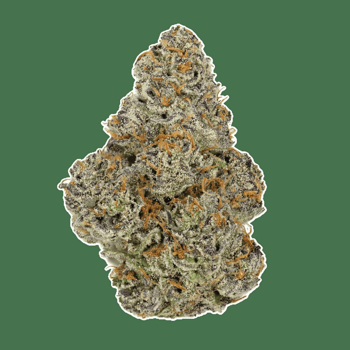 DOOBIES | Preroll | Zoy Sauce