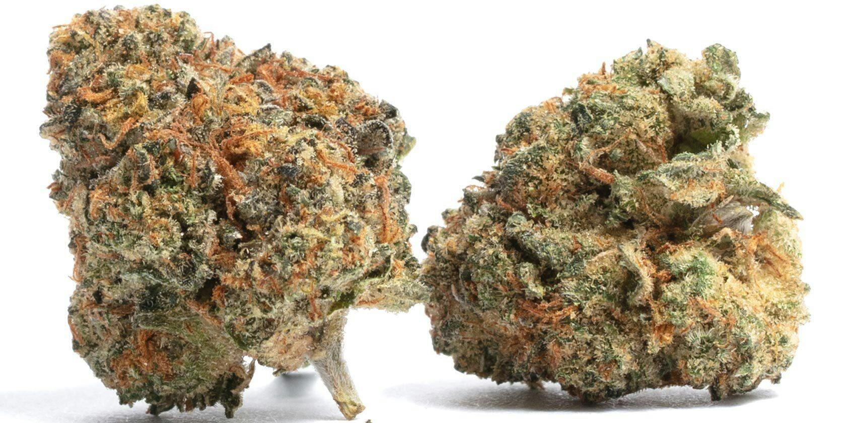 HI CANNABIS | Bulk Flower | The Soap | Smalls
