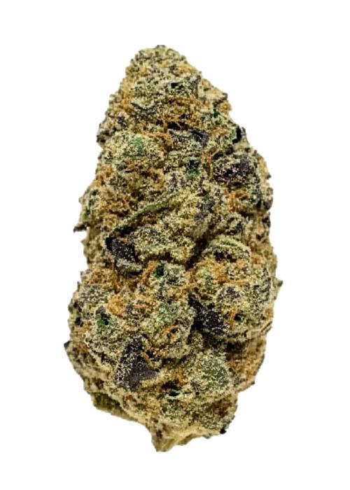 FREEDOM GREEN | Bulk Flower | Truffle Butter