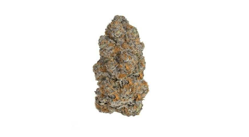 MCB | Bulk Flower | Biscotti