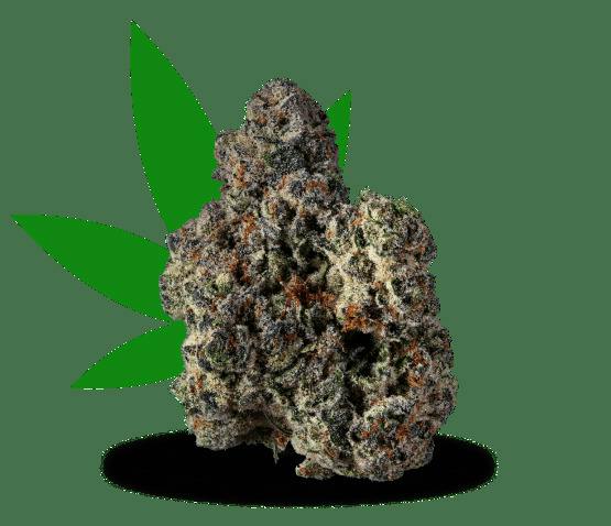 Strane | Bulk Flower | Juicee J