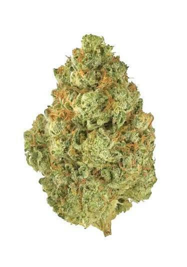 Strane | Bulk Flower | Piff Pastille #59