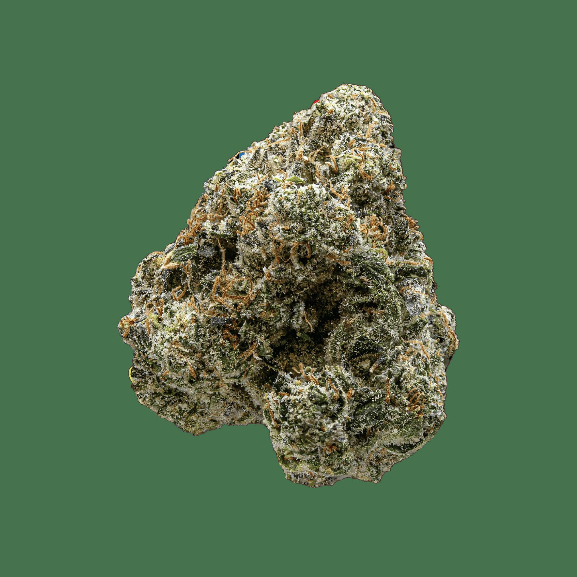 PENINSULA GARDENS | Bulk Flower | Runtz