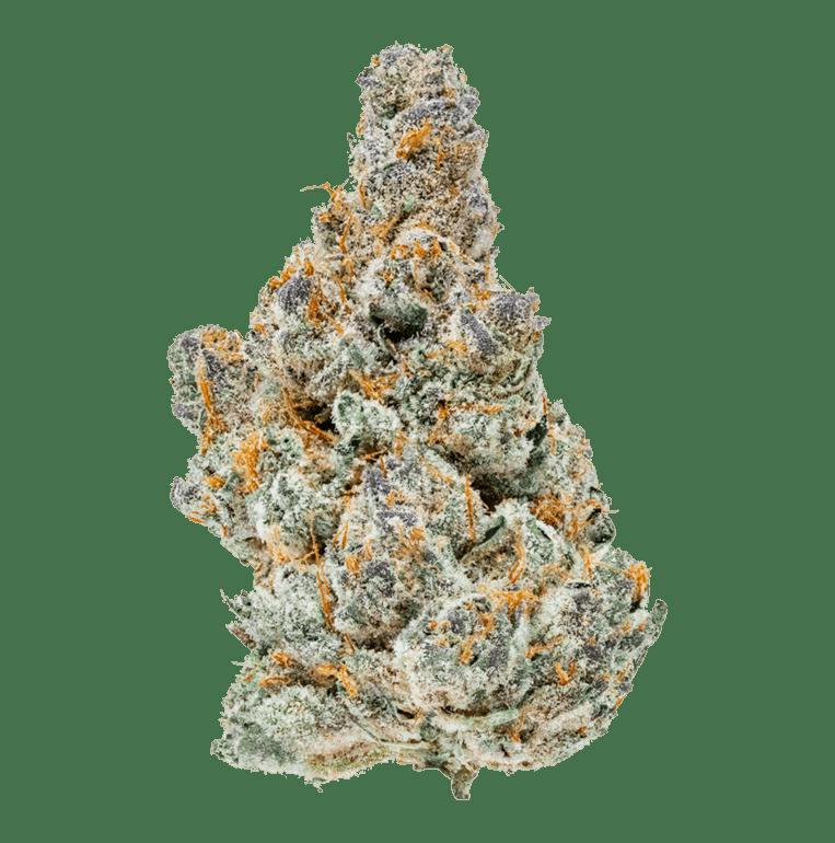 GANS | Bulk Flower | Shaq Diesel