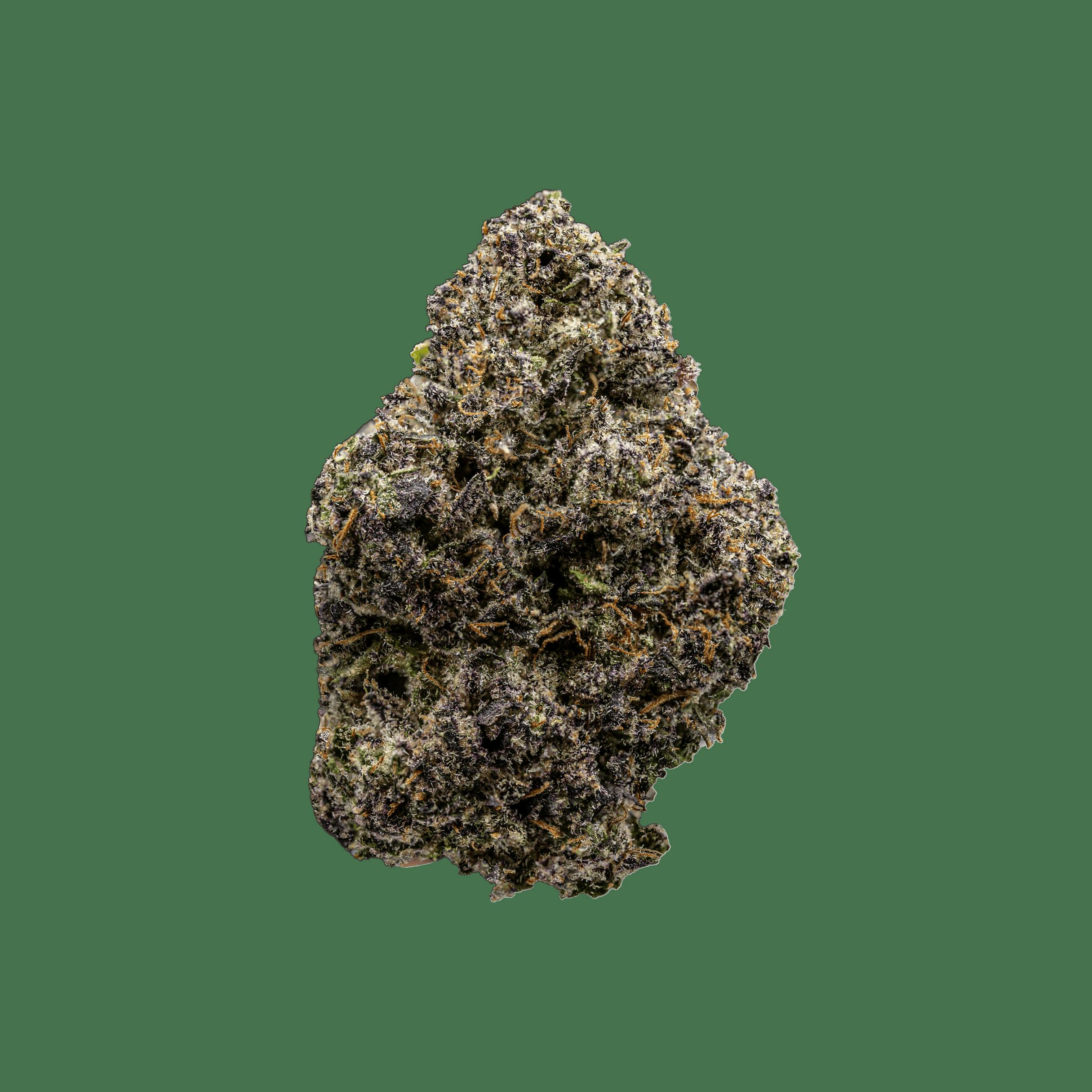 PENINSULA GARDENS | Bulk Flower | Sherb Pie
