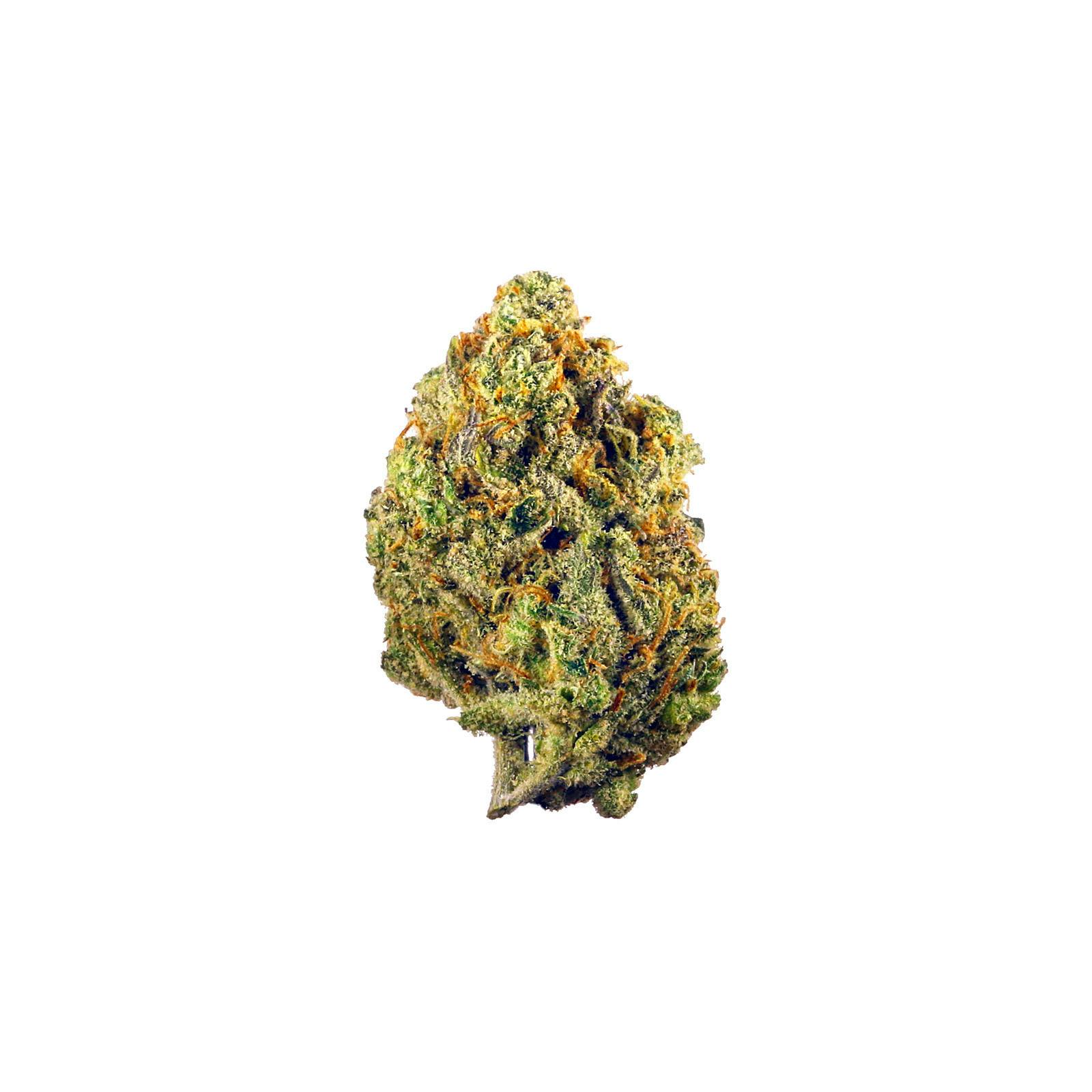 MITTEN | Bulk Flower | Animalz Limon