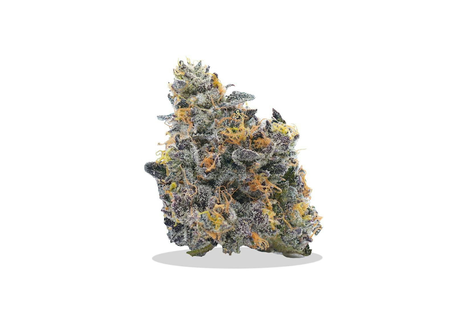 PRIMO DANKS | Bulk Flower | Sunset Runtz