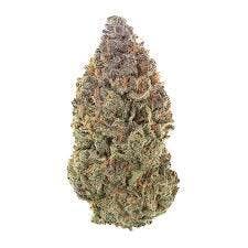 PRIMO DANKS | Bulk Flower | Burnout OG