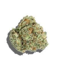 COMMON CITIZEN | Bulk Flower | Glue Cheese