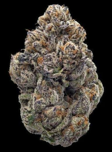 INKSTER PINE PARK | Bulk Flower | Mandarin Butter | Smalls