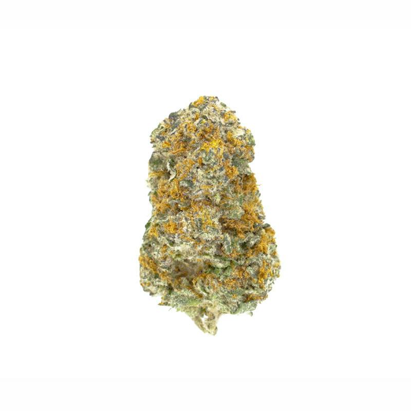 Narvona | Bulk Flower | Plasma Jelly