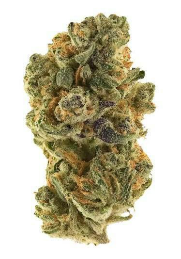 Narvona | Bulk Flower | Space Dust