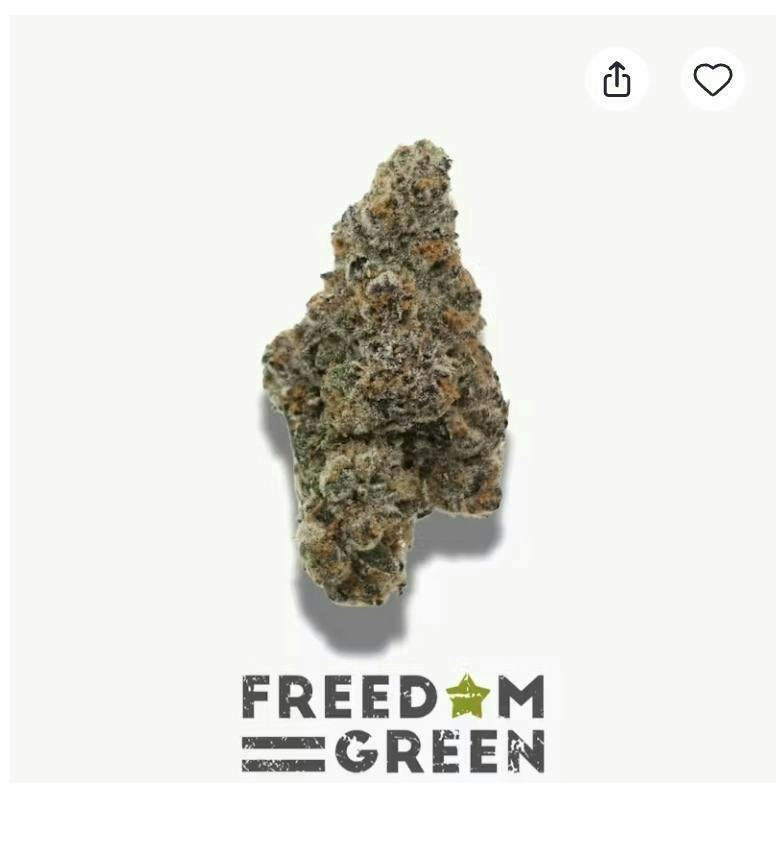 FREEDOM GREEN | Bulk Flower | Biscotti OG