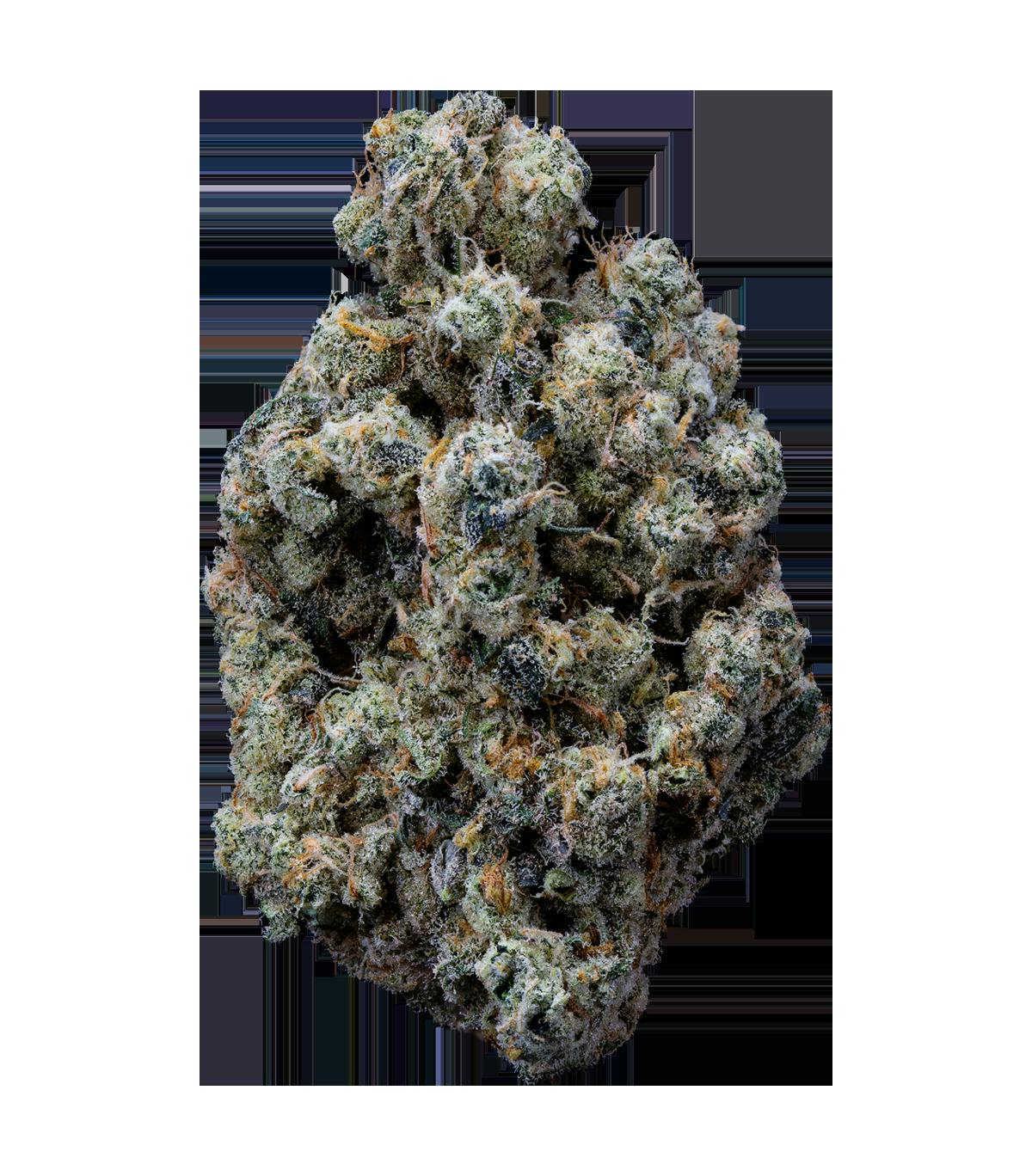 SWEET CUT | Bulk Flower | Crunch Berrierz