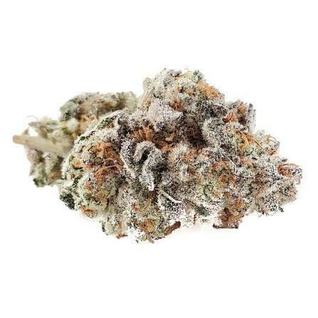 Canna Boys | Bulk Flower | Lava Butter Souffle