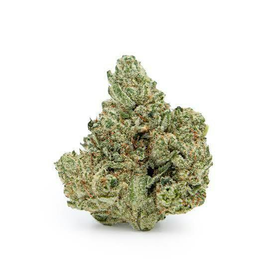 TEAM 517 | Bulk Flower | Gorilla Glue #4