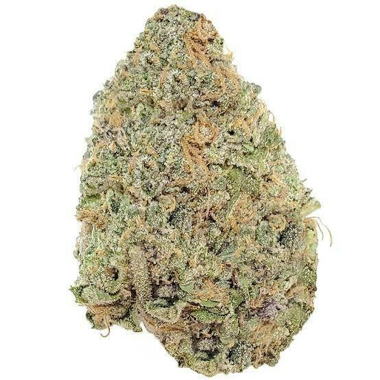 FORTÉ | Bulk Flower | Smalls | Icee Runtz