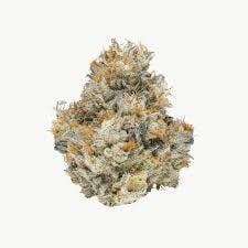 FORTÉ | Bulk Flower | Lemon Cherry Gelato