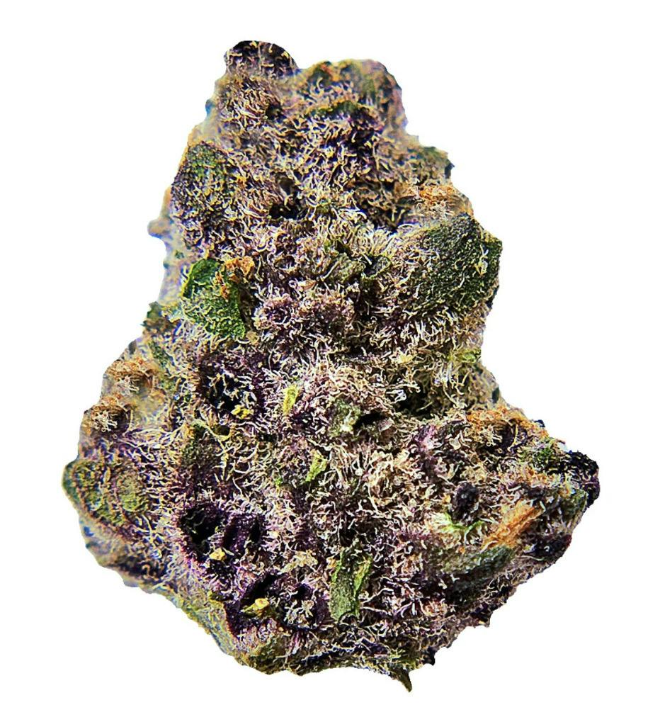 FORTÉ | Bulk Flower | Blockberry