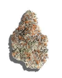 FREEDOM GREEN | Bulk Flower | Fresh Squeezed