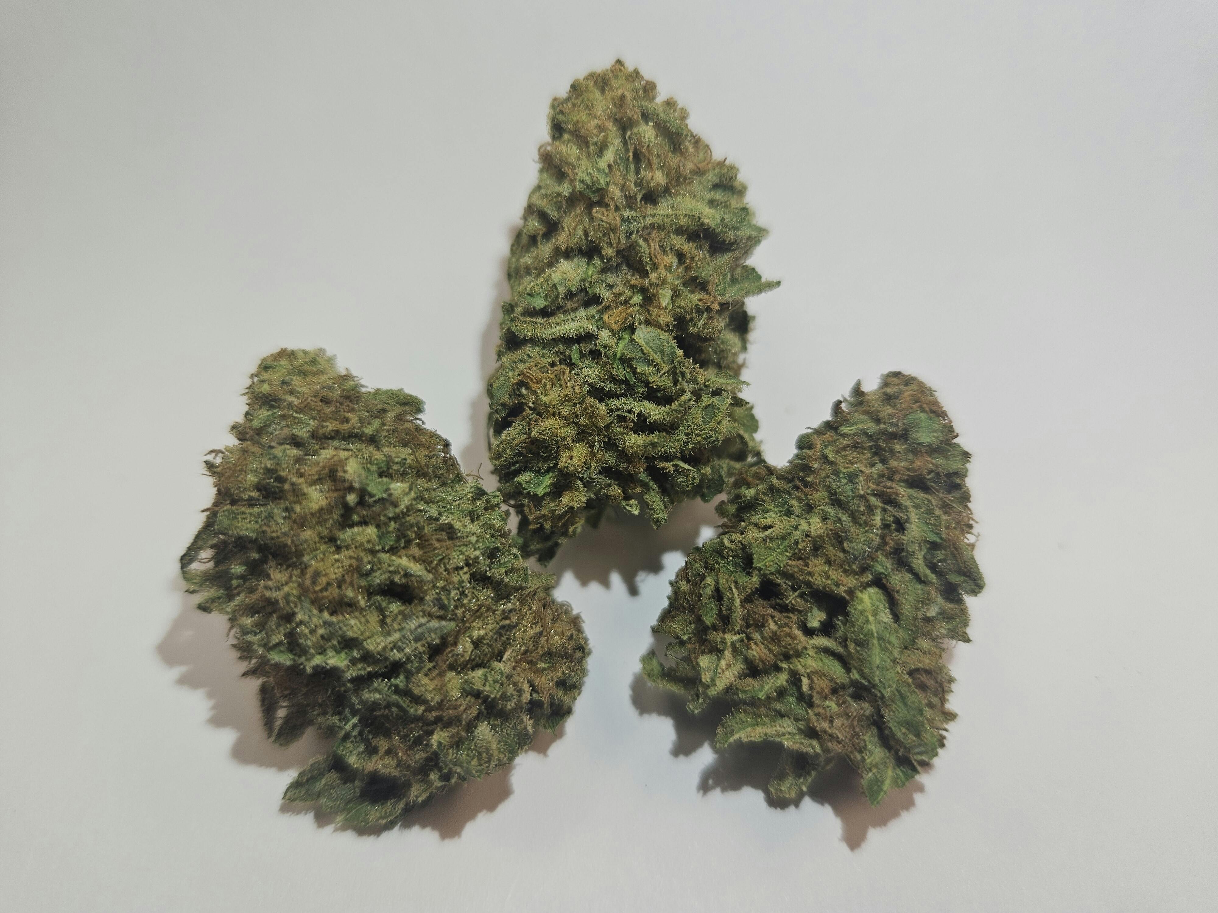 Donutz | 1oz | Pre-Packed | Oceana Gardens