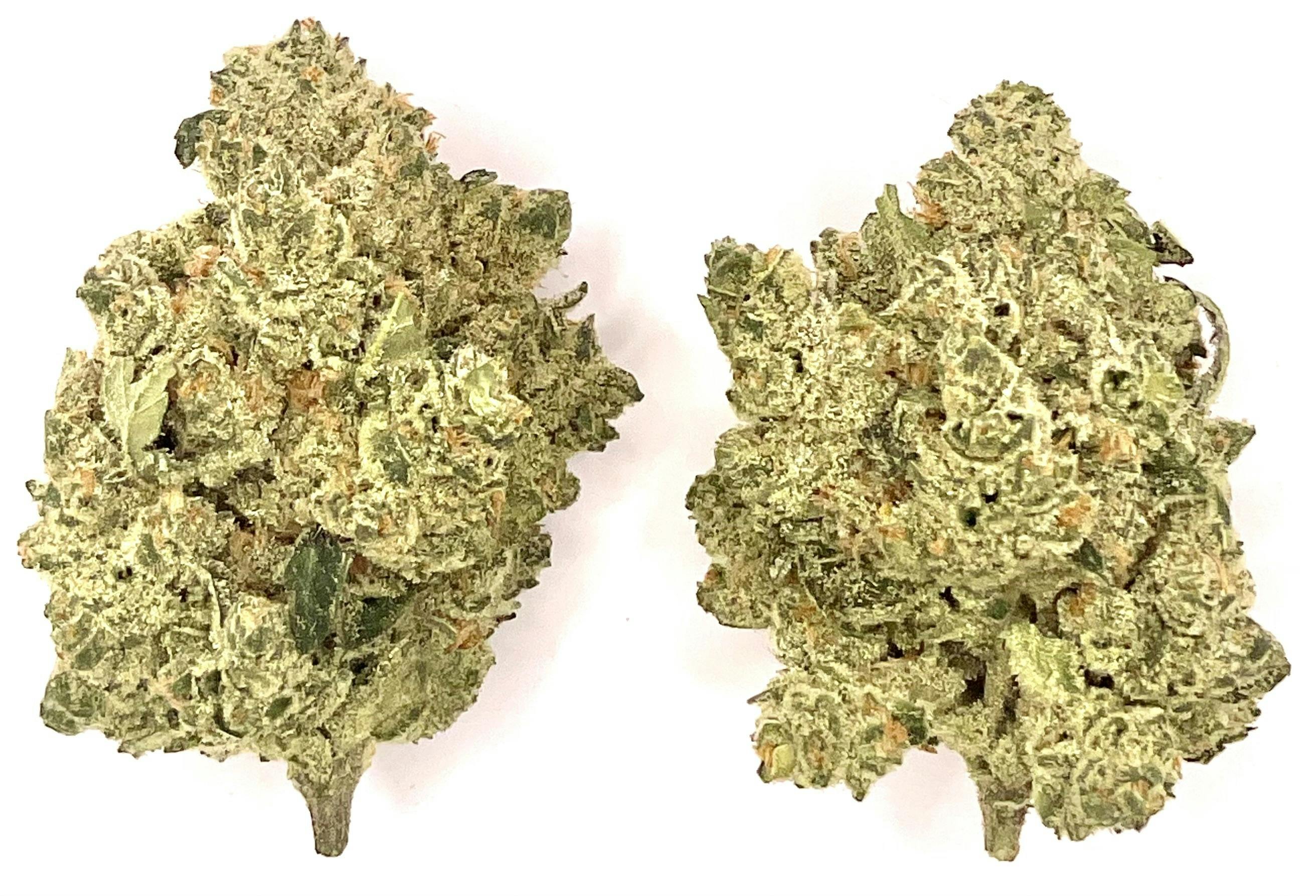 Buds | Truffle Shuffle