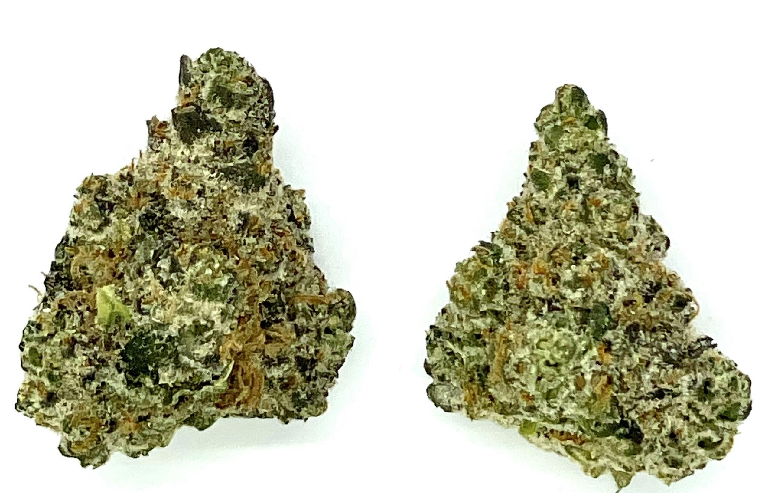 Buds | Platinum Garlic at Montana Kush - Gallatin Gateway Dispensary