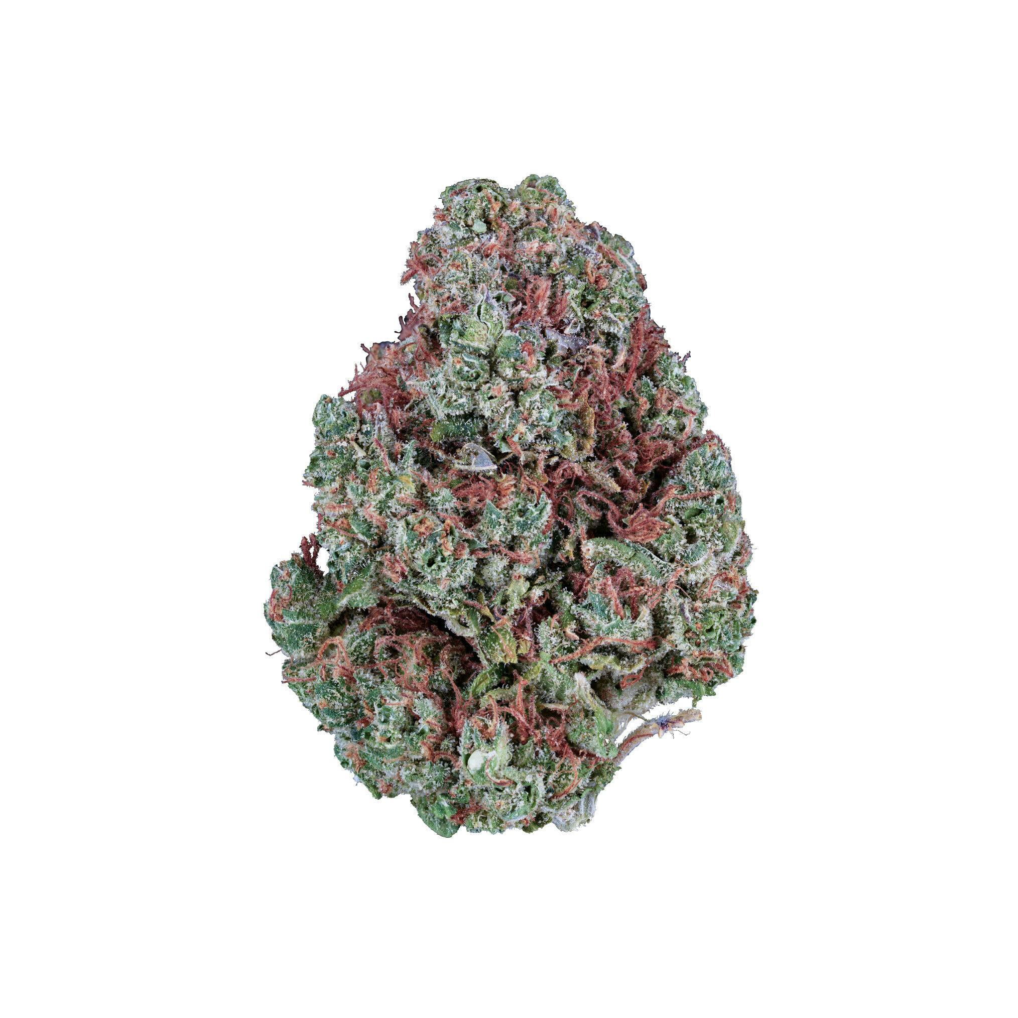 Pura Vida Flower at Trulieve Lancaster Dispensary