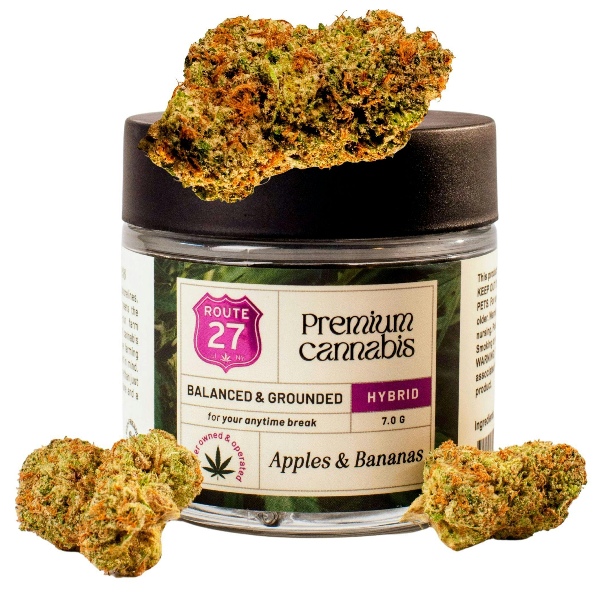Route 27 - Apples & Bananas | 7 Gram Flower (Quarter)