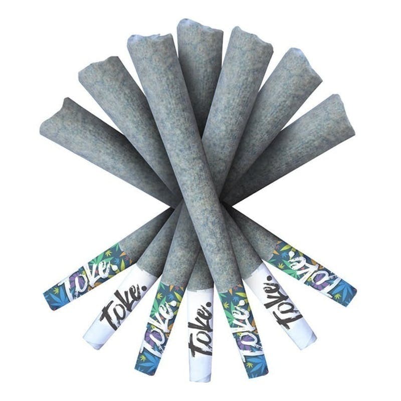 PRKS - (S) Golden Goat - 355