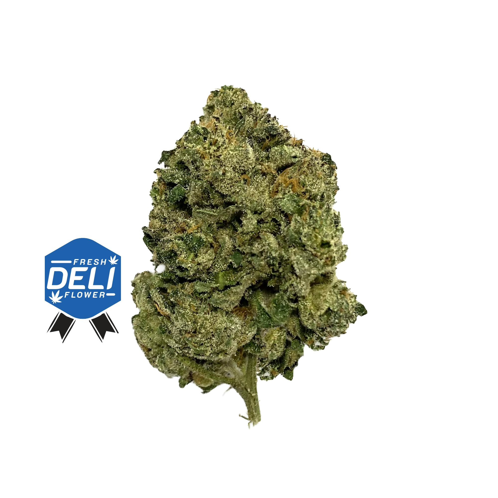 TIME TRAVELERS CANNABIS | MALTESE TIGER | DELI