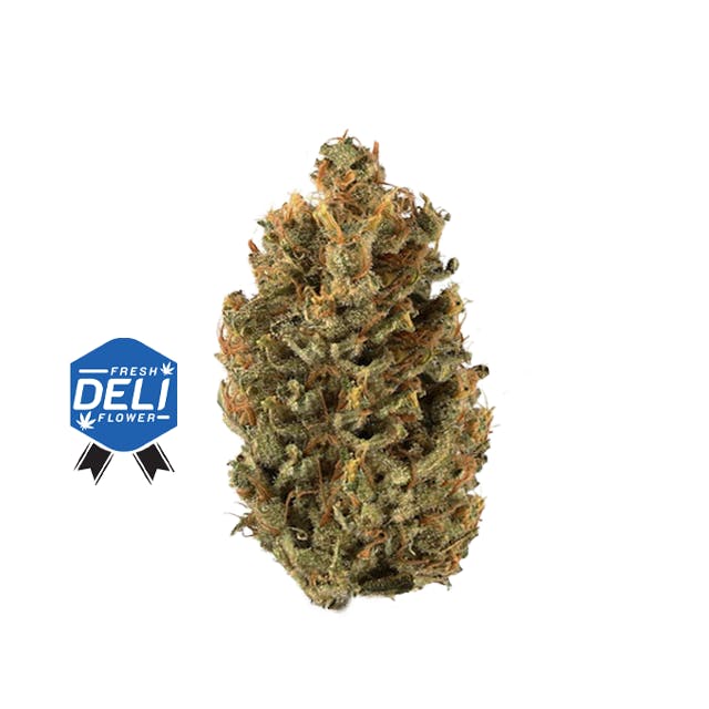 DELUXX | G-13 | DELI