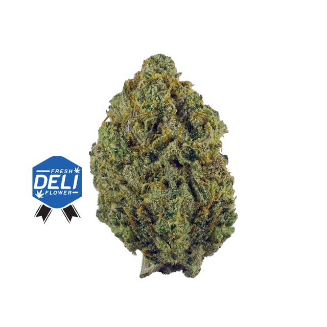 DELUXX | GELATO MINTZ | DELI