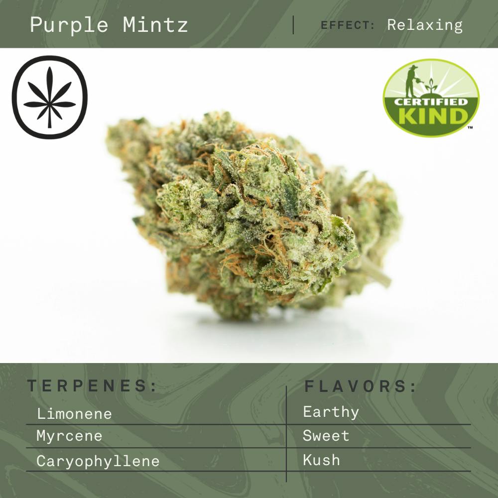 APOTHECARE | PURPLE MINTZ | DELI