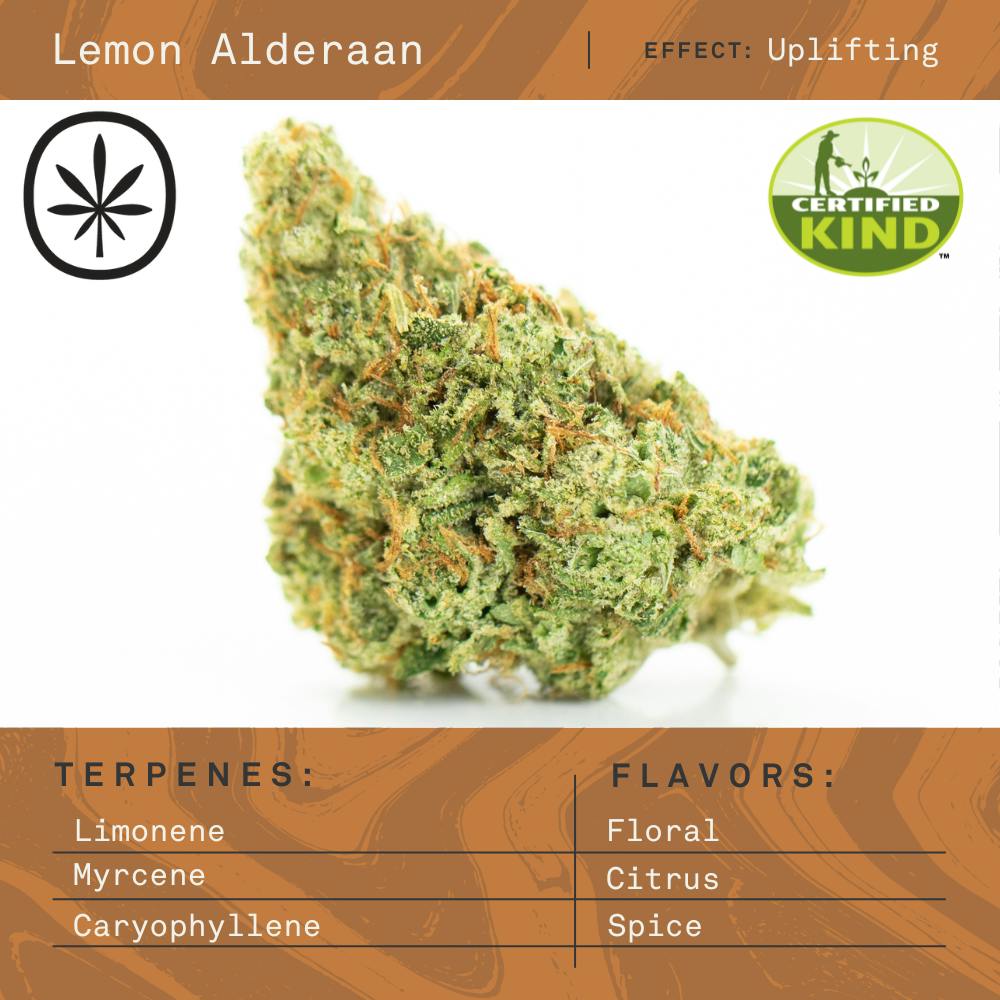 APOTHECARE | LEMON ALDERAAN | DELI