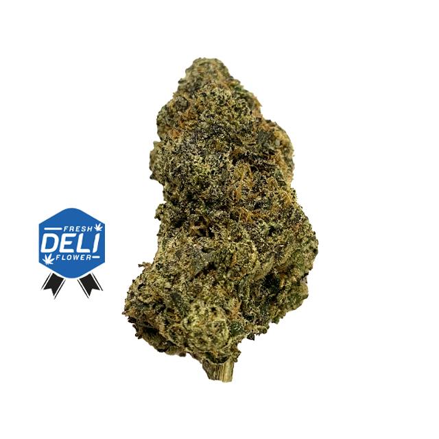 TRAPPER'S CHOICE | JEALOUS RUNTZ | DELI