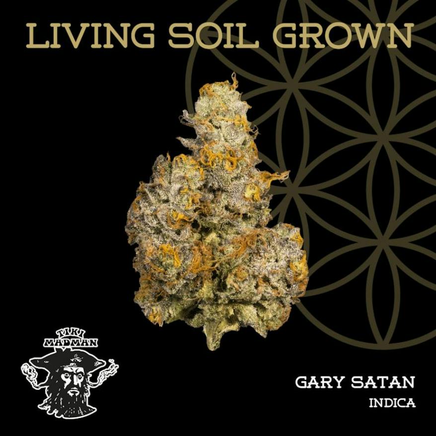 FLOWER OF LIFE | GARY SATAN | DELI cannabis product