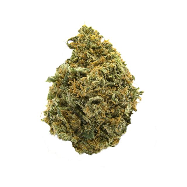 Papaya Cake | Buds | 28g