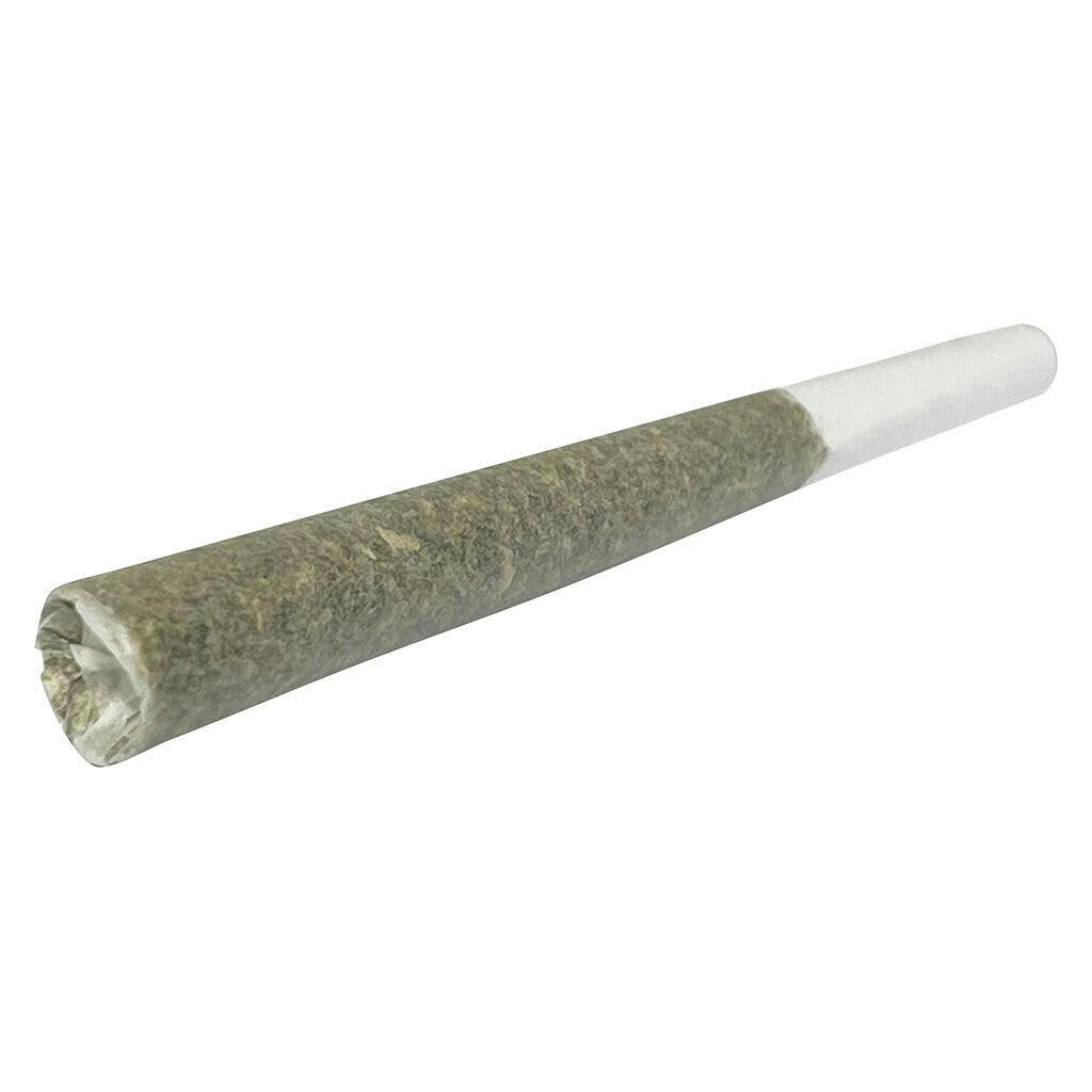 Cannon J - Pre-Roll 1x1g